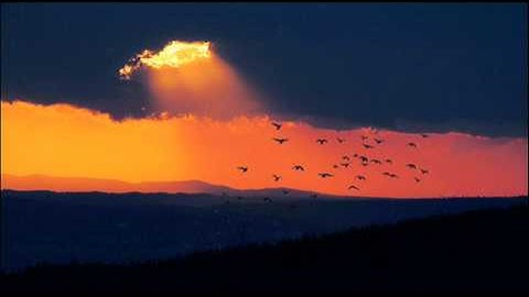 أجمل تلاوة لـ سورة الرحمن صوت فاق الوصف أجمل تلاوة باليوتيوب