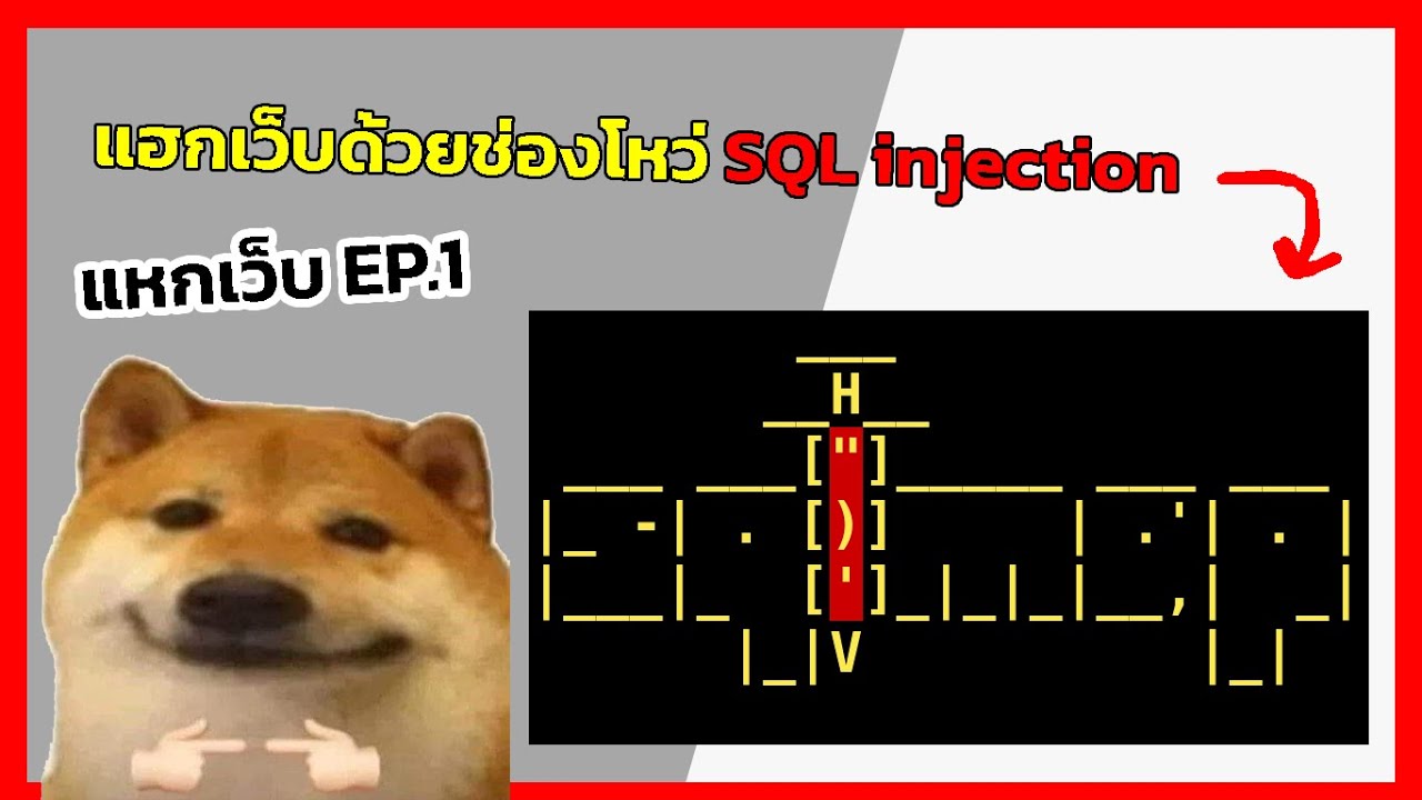 sql injection สอน  Update  แฮกเว็บด้วยช่องโหว่ Sql injection กัน!!! | แหกเว็บ ep.1