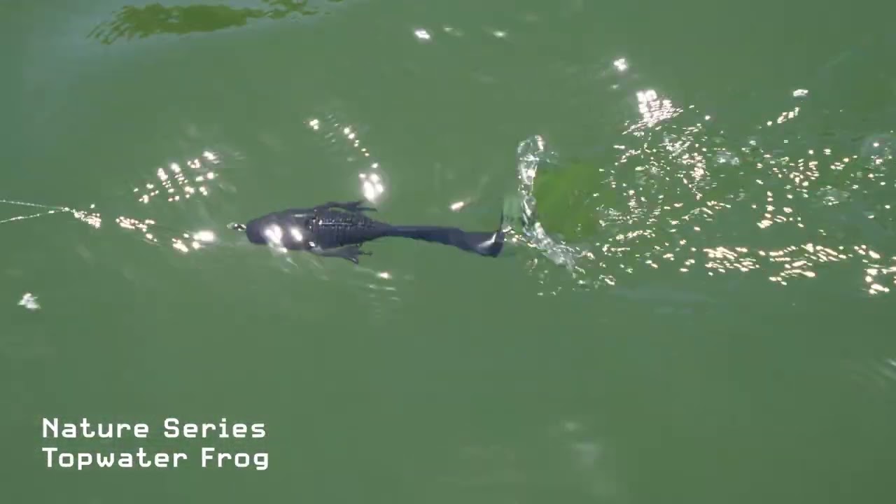 FishLab Nature Series Topwater Frog - Swim Action