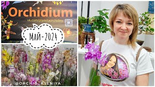 Орхидиум - май 2024 | Выставка-продажа орхидей в Москве | Суккуленты, лиственные, грунты, горшки...