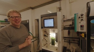 bbe AlgaeToximeter_ Introduction