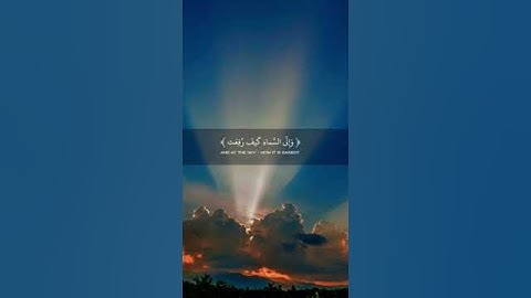 أَفَلَا يَنْظُرُونَ إلَى الْإِبِلِ كَيْفَ خَلَقْتُ 🧡⚘️راحة نفسية حالات واتس اب قرآن كريم 🌷 Quran 🥀