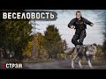 DayZ 1.21 | PERVAK | СТРЭМ | ВЕСОЛОВОСТЬ