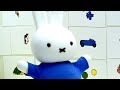 Pintando A Parede! | Miffy | Desenhos Para Crianças