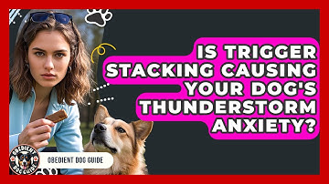 Is Trigger Stacking Causing Your Dog