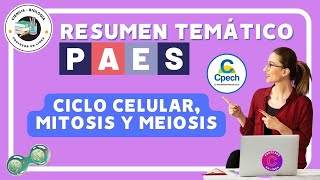 RESUMEN DE: Ciclo celular, mitosis y meiosis en la PAES de Ciencias-Biología