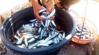 Sinampay na Sardinas | Amazing Sardines Sabiki Primitive Fishing &quot;Undak/ Bundak&quot; Traditional Fishing