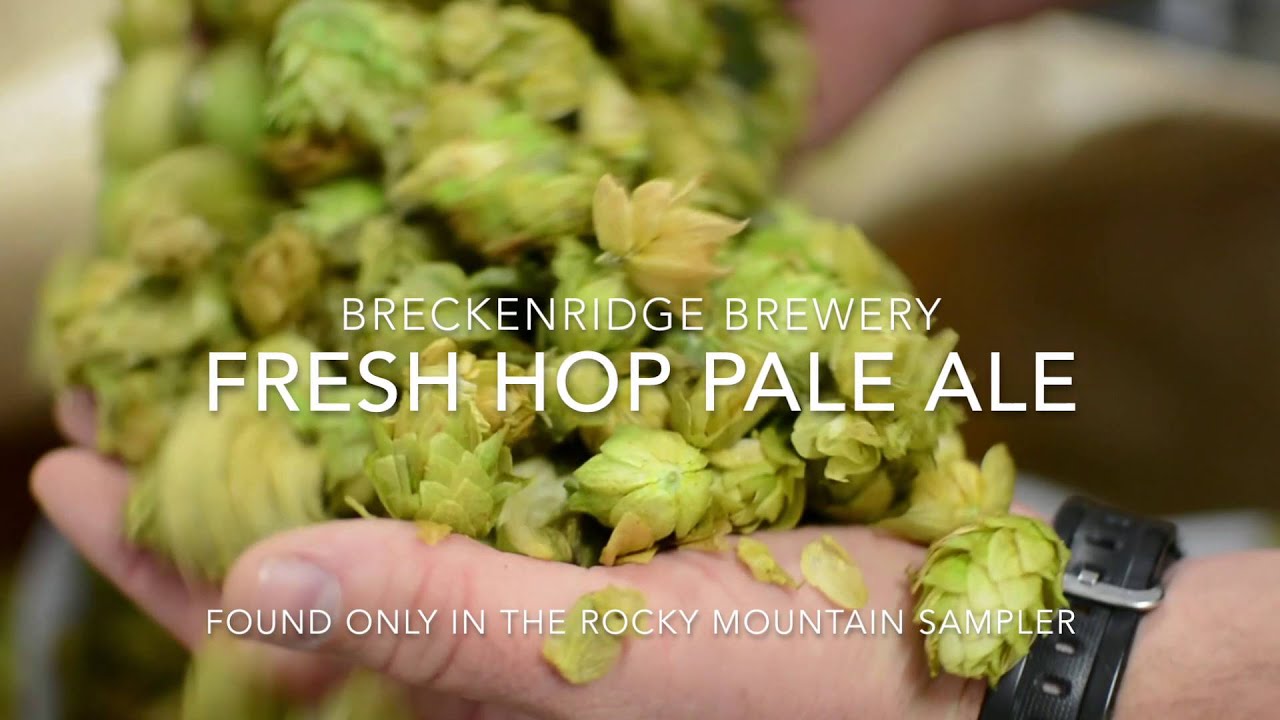 Breckenridge Brewery Chinook Fresh Hop Pale Ale 2015 YouTube