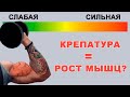 Означает Ли Крепатура (Боль В Мышцах) Рост Мышц?