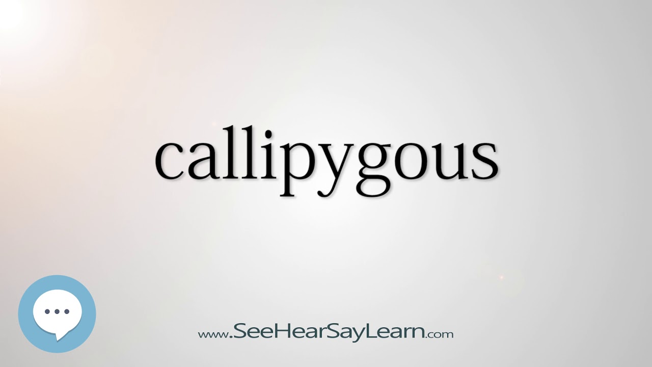 callipygous (Every English Word Pronounced) 📕🔊🗣️😎✓ 