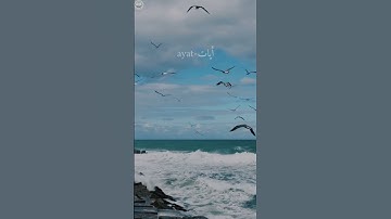 اللة الذي خلق السموات والأرض القارئ عبدالرحمن مسعد(سورة السجدة)