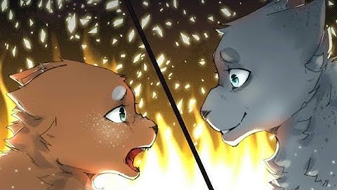 Take A Hint - a warrior cat SquirrelFlight and AshFur Animash