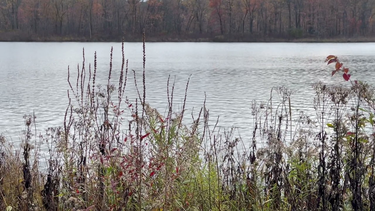 Patterson Lake Pinckney MI YouTube