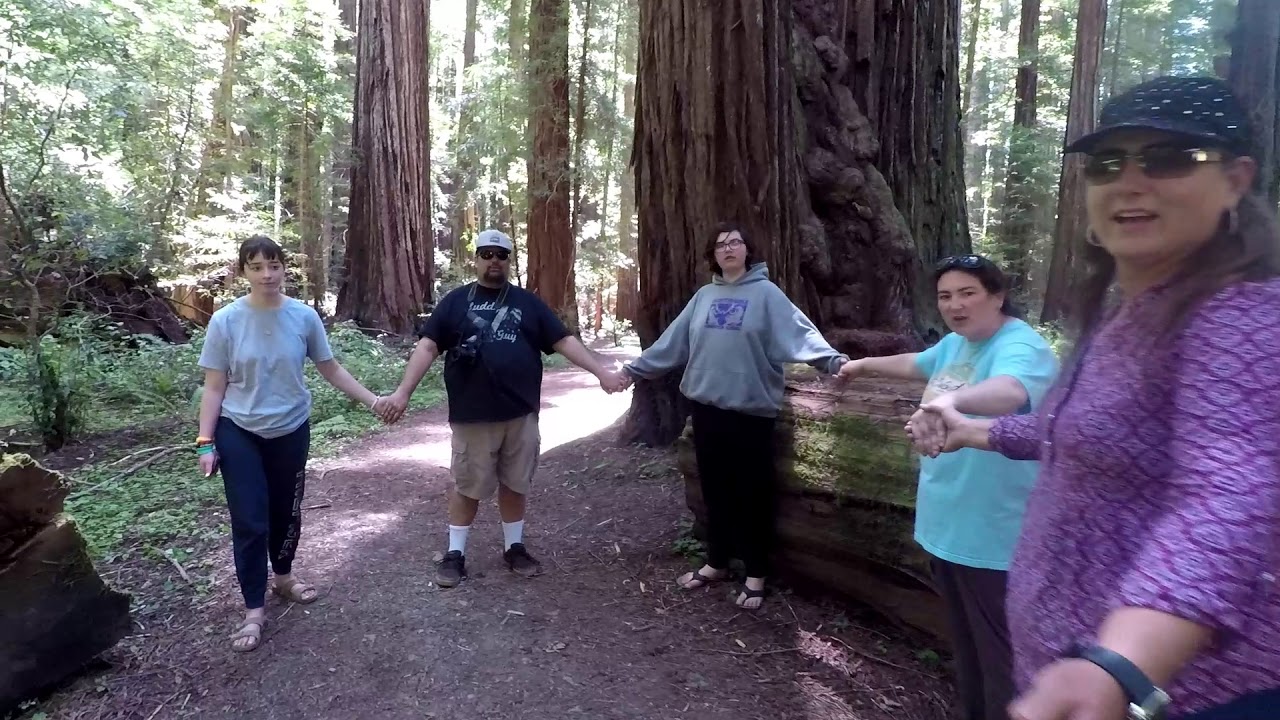 Redwoods Part 1 - YouTube