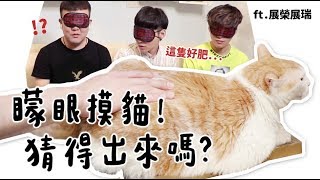 【黃阿瑪的後宮生活】矇眼摸貓猜得出來嗎ft.展榮展瑞