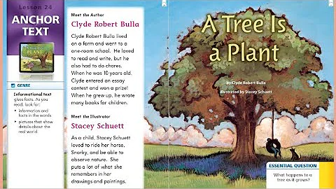 Journeys Lesson 24 for First Grade: A Tree is a Plant - DayDayNews