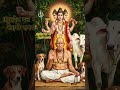 शुभ सकाळ श्री गुरुदेव गुरुवार दत्ता दिगंबरा या हो स्वामी मला भेट द्या हो..🚩🙏🌺#swamisamarthamajhiaai