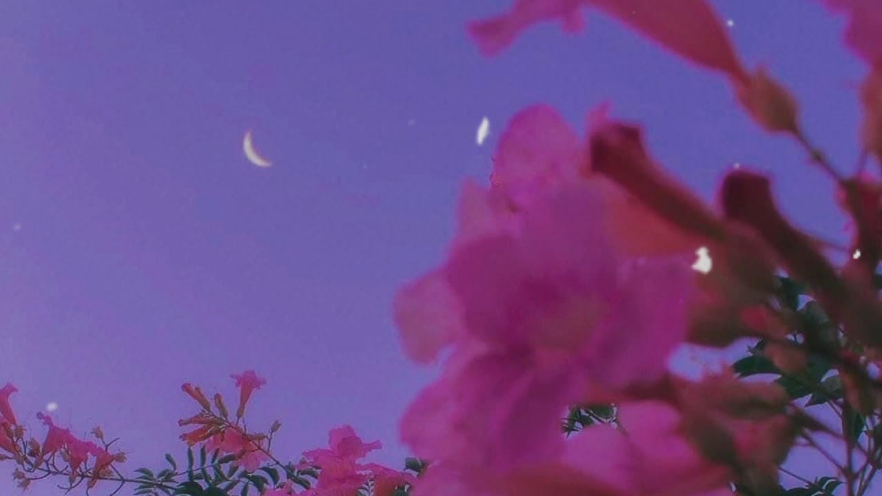 johnny stimson - flower (pitched down + slowed + reverb)