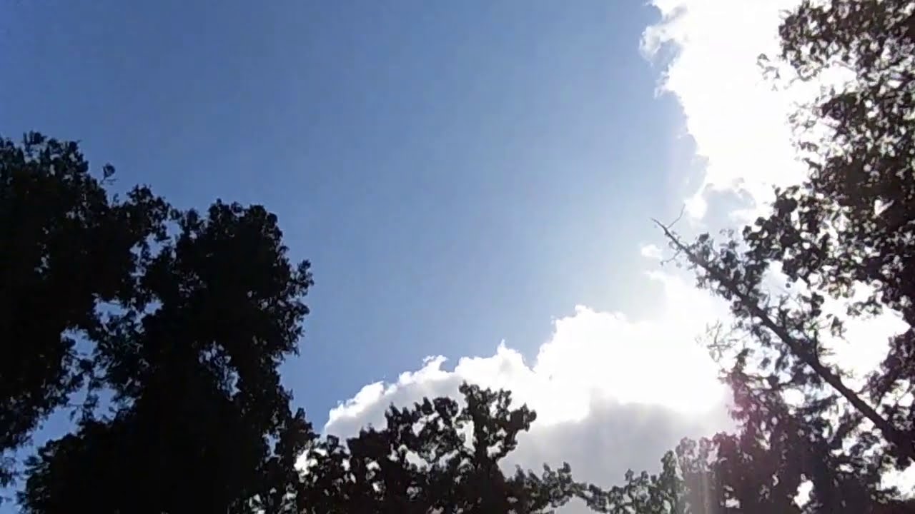 デジカメ 動画 CIMG1535