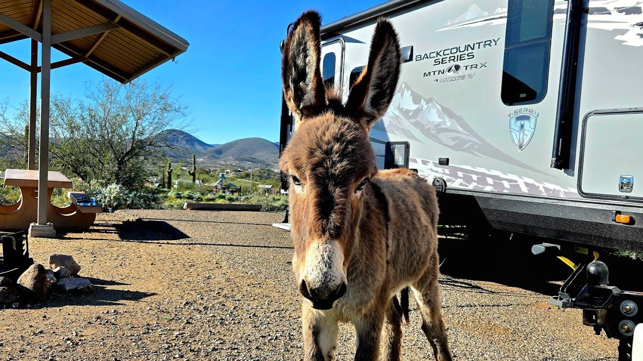 Гости за ужином