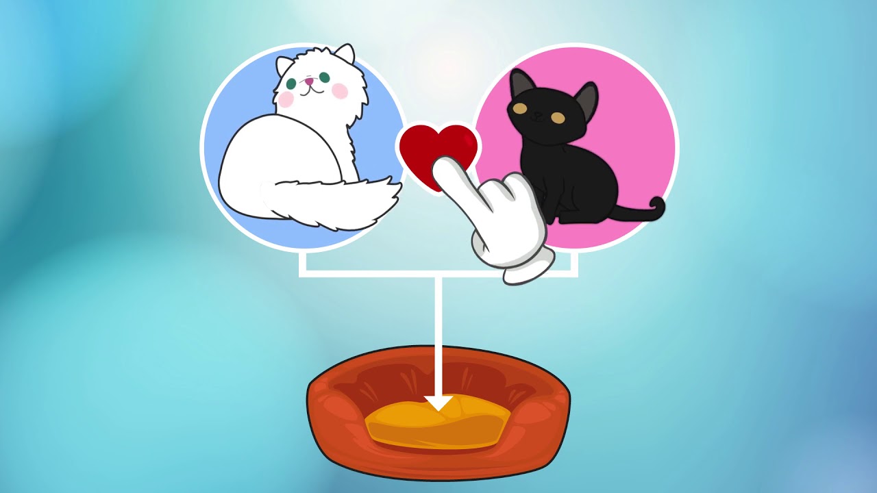 Cats Tower The Cat Game! MOD APK cover