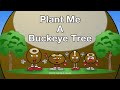 Plant me a buckeye tree lyric