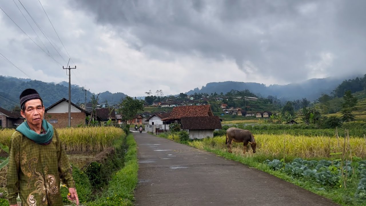 Sore Setelah Hujan di Desa Dataran Tinggi… Warga Pulang & Jalan Kembali Hidup
