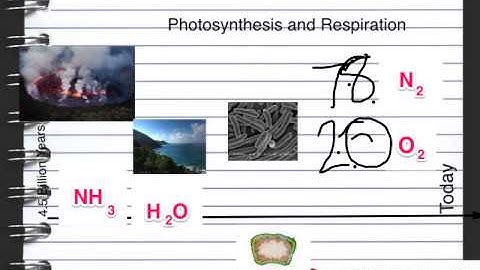 C1 Lesson 5 Clean Air OCR Gateway