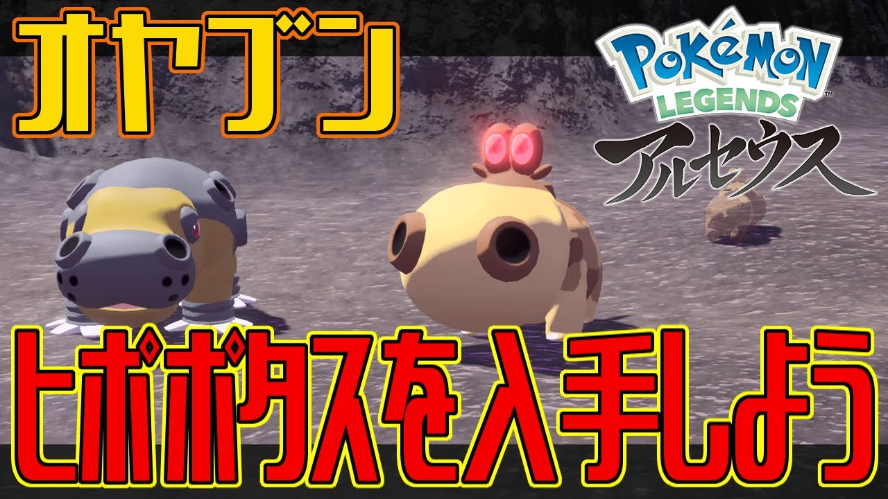 ポケモンアルセウス オヤブンのヒポポタスを入手しよう Pokemon Legends アルセウス Youtube