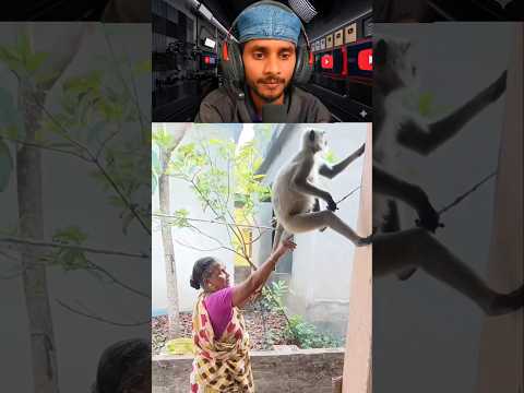 Funny Tadka 10 🤣 #funny #shorts #trynottolaugh