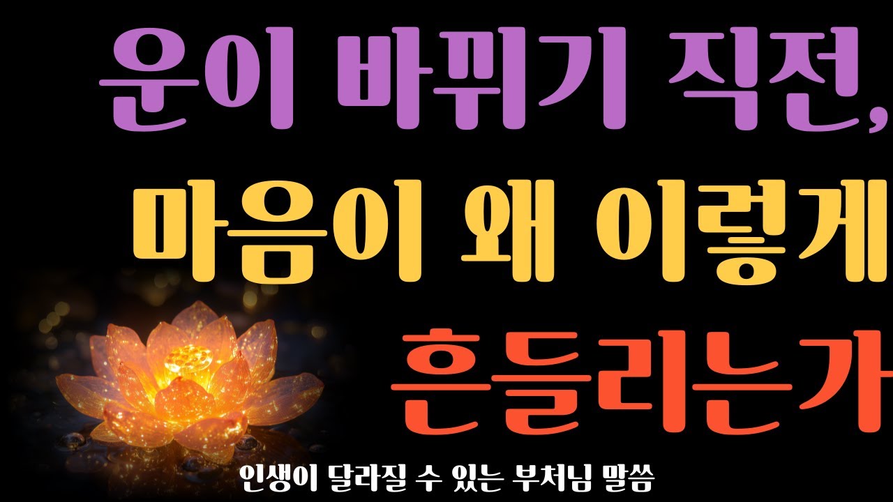 운이 바뀌기 직전, 마음이 왜 이렇게 흔들리는가 ㅣ 부처님 말씀 ㅣ 불안·고독·관계 변화의 숨겨진 의미