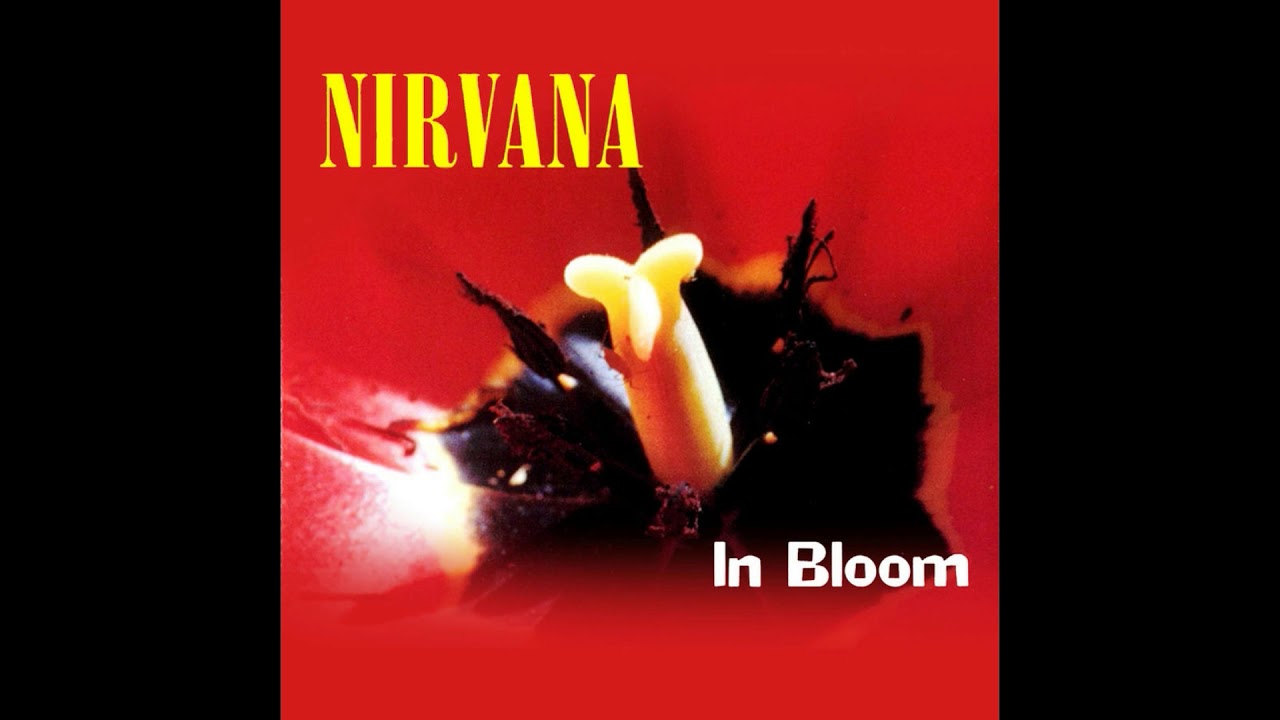 Nirvana In Bloom (D Standard) YouTube