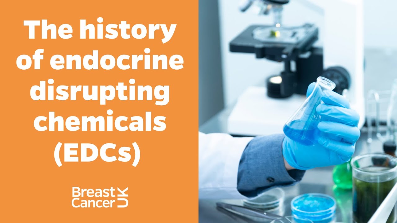 Breast cancer risk and endocrine disrupting chemicals (EDCs): The history of EDCs | Breast Cancer UK
