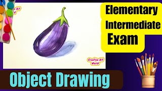 How To Draw Brinjal Object Drawing Elementary Intermediate Exam