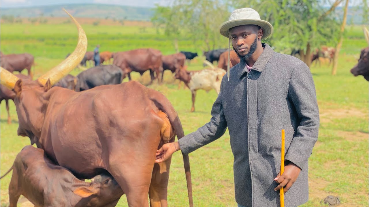 🤣😳CADEAU IRAKOZE😂MUNKA TWIBUTSANYE IBIHE BYIMURENGE AHEZA HIWACU MURI GAKONDO😢❤️