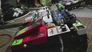 Tortoise Forest 140X148 Live In Studio