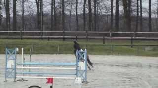 [20130413] Gauthier & Hippolyte - 1er à Amateur 2 Grand Prix (1,10 m) - Gaillon