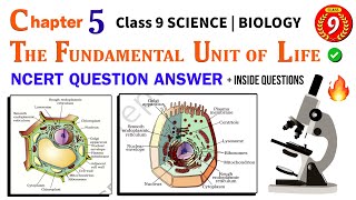 ?The Fundamental Unit Of Life | NCERT Class 9 Biology Chapter 1 Question Answer | Science Chapter 5?