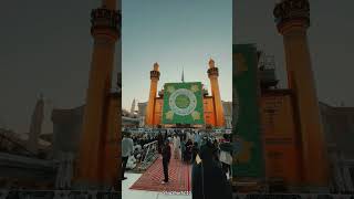#yaali #moulaali #najaf #shorts #fypviral #fyp #youtubeshorts #shortsfeed #shortvideo