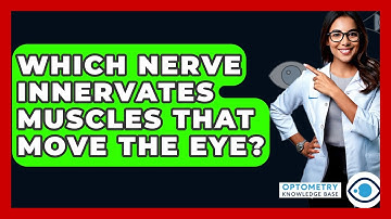 Which Nerve Innervates Muscles That Move The Eye? - Optometry Knowledge Base