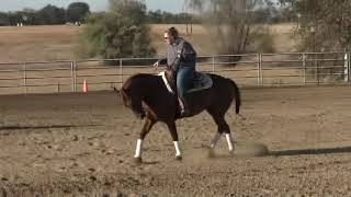 Improving your reining circles: Martin Padilla - Lesson with client