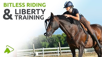 Bitless Riding: What you need to know! | wehorse