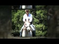 Trail ride at the butterfield ranch  mtnhomes4horsescom