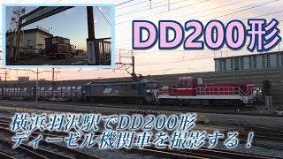 横浜羽沢駅でDD200形ディーゼル機関車を撮影する！