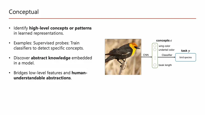 AI Interpretability and Four Paradigms: Behavioral, Attributional, Conceptual, and Mechanistic