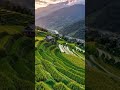 ख़ोल चेहरों पे चढ़ाने नहीं आते हमकोगांव के लोग हैं हम शहर में कम आते हैं- बेदिल हैदरी