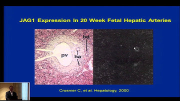 Introduction to ALGS - 2014 - Dr Piccoli - Fri - 07_00