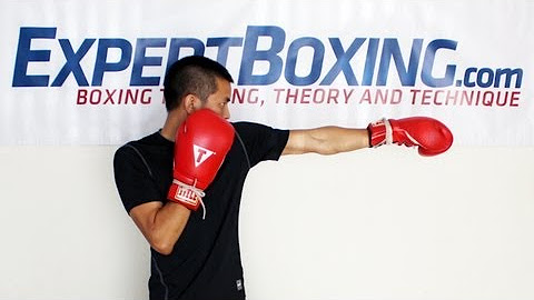 Expertboxing Youtube