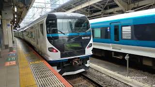 E257系　特急 踊り子　東京駅　発車