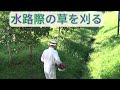 刈払機に八枚刃を付けて、水路際の草刈りをする